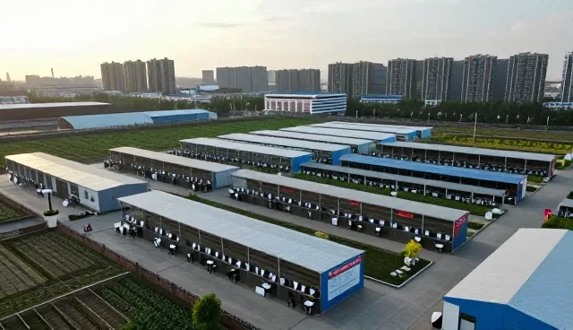 数据安全服务中的常见问题与应对策略