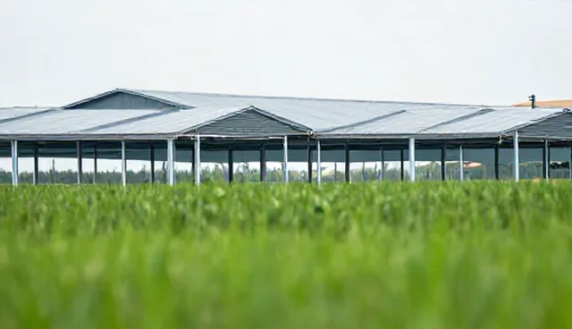 数字化建设中适用条件的科学评估与实践路径