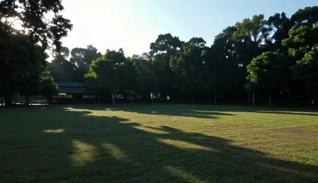 年检代办服务常见误区及处理方向