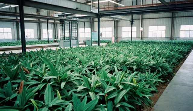 成果转化应用中常见的限制条件分析