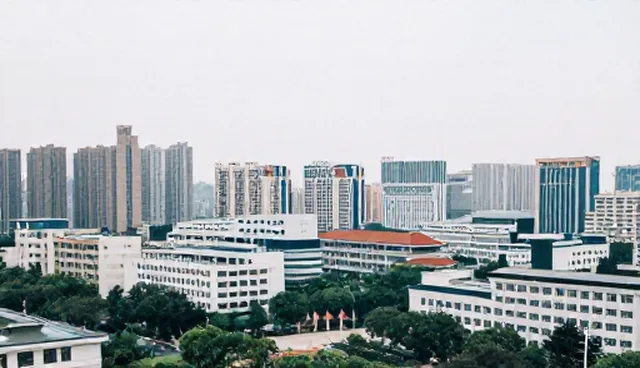地区网络能力建设：两种做法对比及其实际取舍