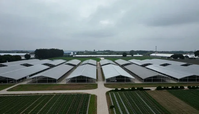 接口对接中的性能优化与适用场景分析