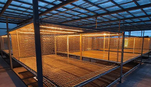 提升加工能力建设的关键在于材质改进与维护策略