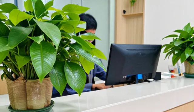 供需信息套餐如何通过数据分析提升转化率