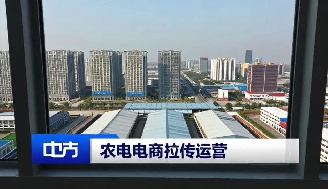 品牌如何应对市场变化带来的挑战？