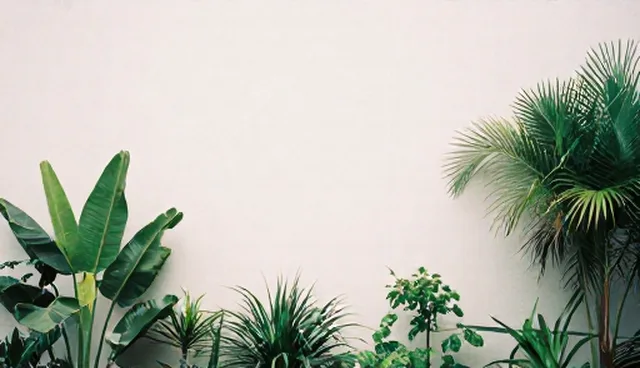 技术开发中软件选型的性能与适用条件分析