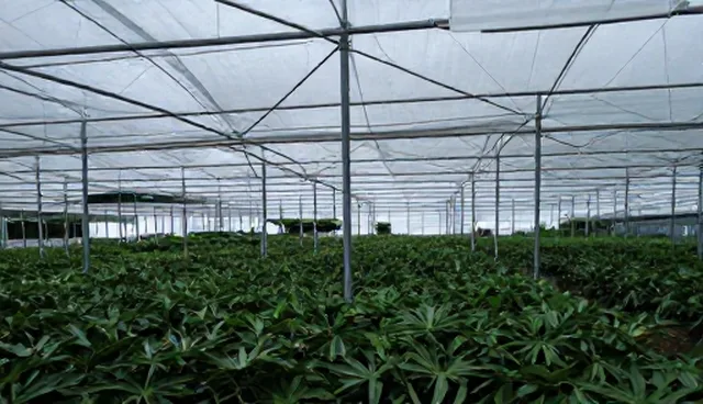 技术服务转化成果的使用与维护建议