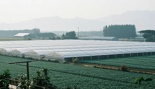 企业流程优化中的常见误区与维护策略