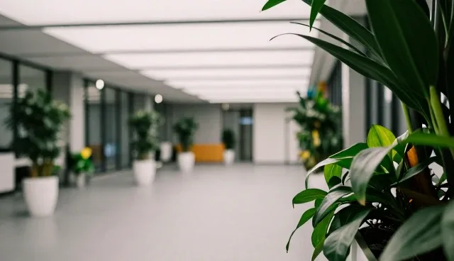 视频剪辑如何精准匹配场景需求