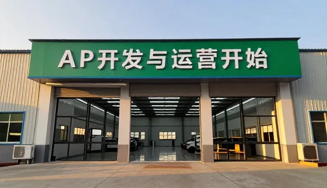 电商平台APP开发中域名托管的常见问题与应对策略