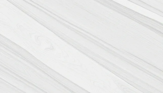 货运代理风险控制中的优化方案与适用条件分析