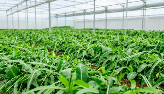 康复指导服务选型方法的五大检查要点