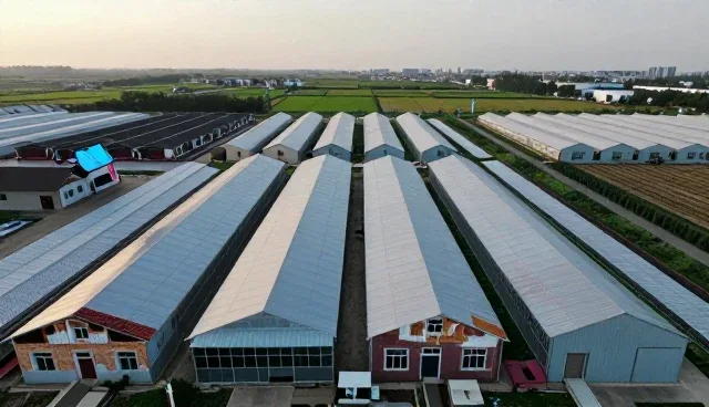技术外包项目中如何注重流程管理与风险防控