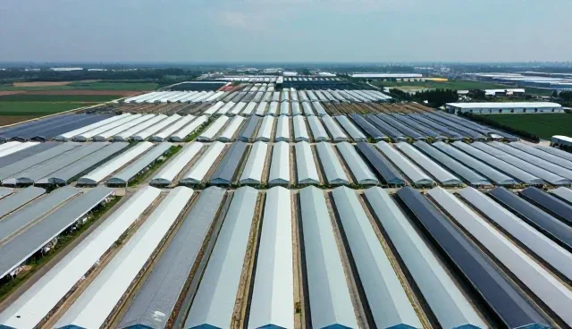 技术驱动交付质量提升的多规模实践路径