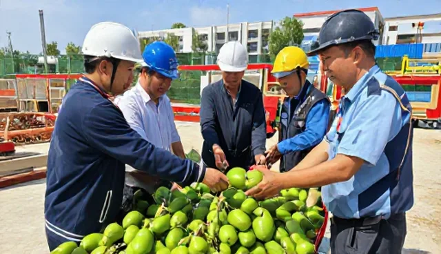 农产品渠道合作应如何选择合作对象