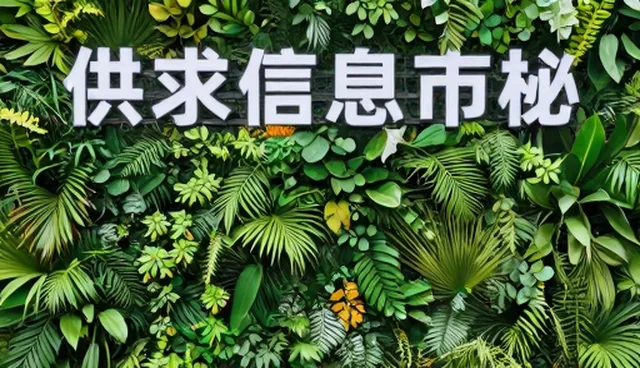 设计网站哪家好？企业服务需求驱动供求信息发布服务升级