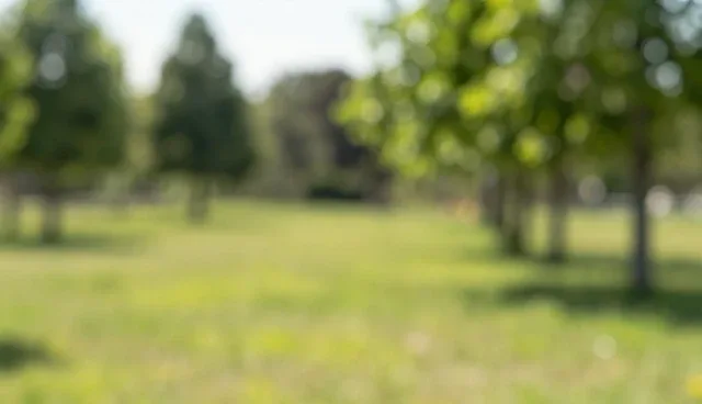 APP开发系统集成的适用场景与限制分析