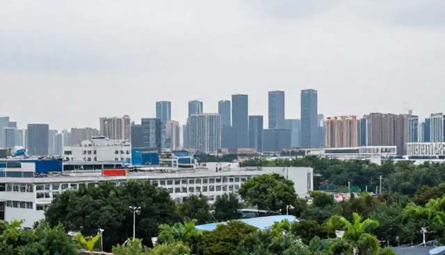 技术推广：涵盖技术的使用与维护建议