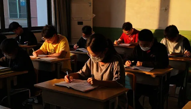 教师背景对教学资源开发性能影响的深度解析
