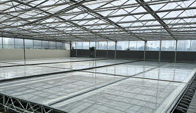 短视频拍摄中内容分发服务的工具边界与适用场景