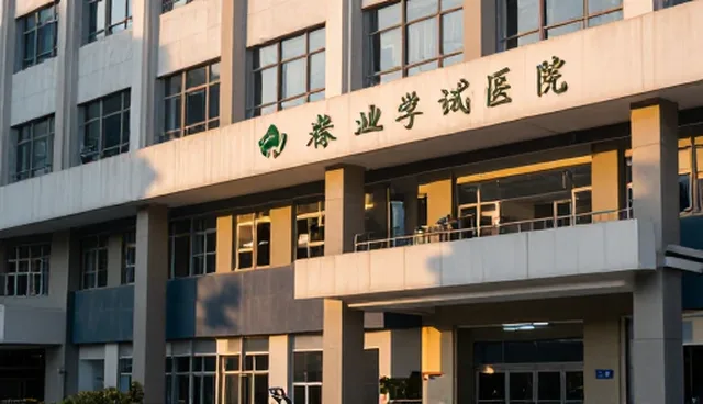 反推视频提示词的软件：两种做法的取舍与选择