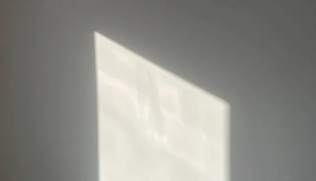 商务服务检查要点中的关键环节解析