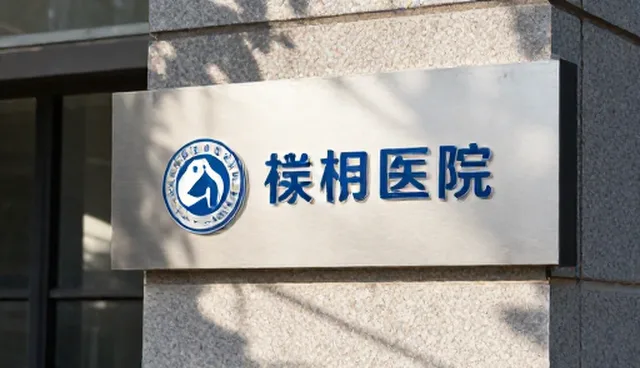平面设计在新媒体运营中的趋势演变与实践路径