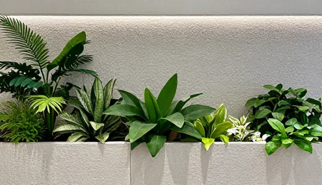 产品推广中的常见问题及检查要点