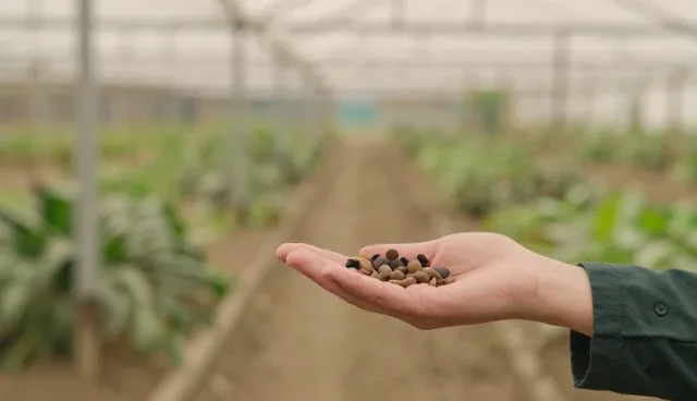 问题处理：技术研发中的使用与维护建议