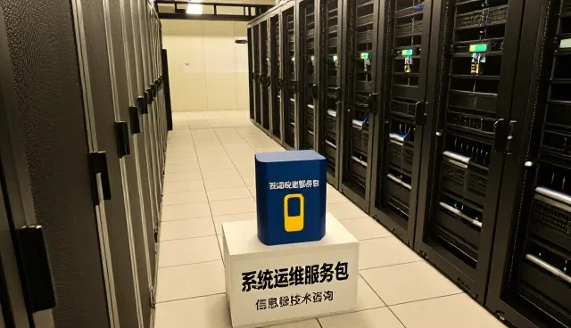 信息系统集成使用中的常见问题与维护策略