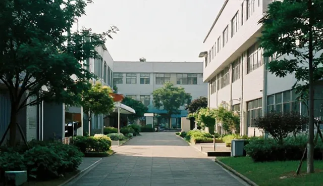 工程维保服务套餐：选择依据与实际应用条件比较