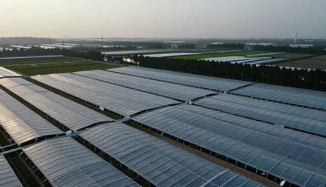 技术适配方案在成果转化中的关键作用分析