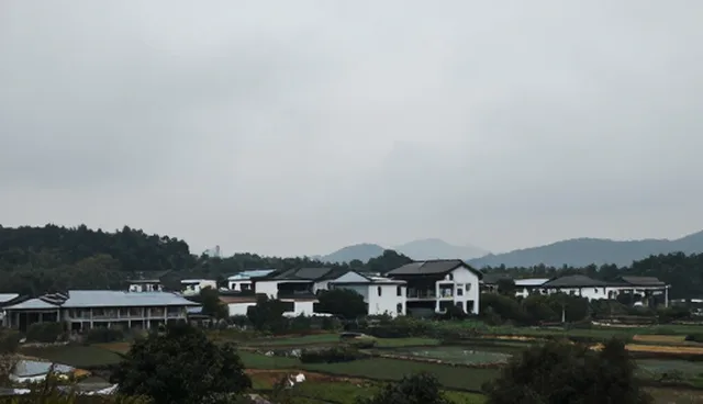 APP维护中服务器常见问题解析及应对策略