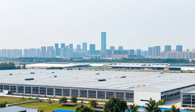 技术培训中常见问题及应对策略