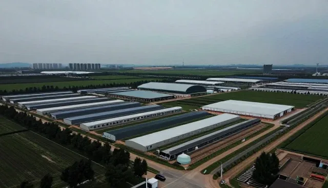 性能优化在技术外包中的实际应用与适用条件分析