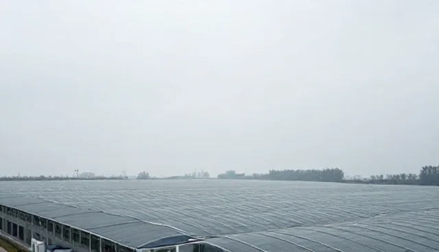 系统集成在企业数字化转型中的实际应用与挑战