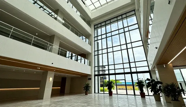 提升团队接待效率的实用技巧与日常维护建议