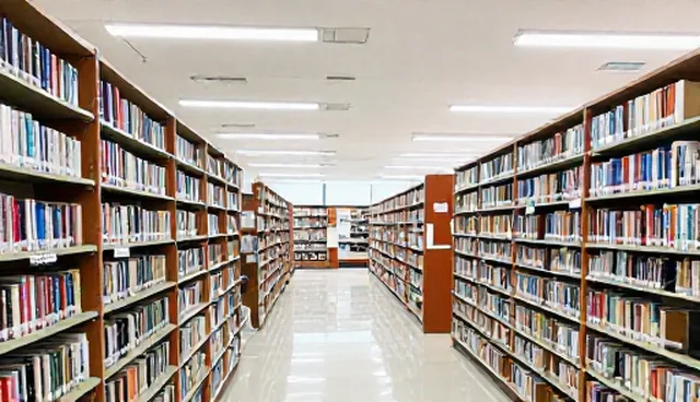 汕头建网站的适用情况与限制分析