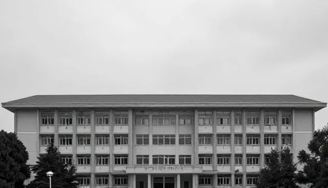 业务流程优化方案设计的使用与维护建议