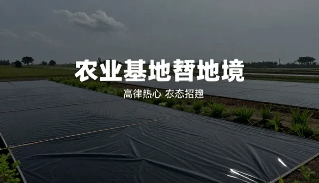 商业网站建设：名录在招商项目发布中的关键作用