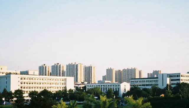 企业信息化建设中维护策略的选择依据