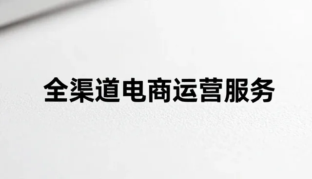 多场景下的APP维护与SEO优化实践解析