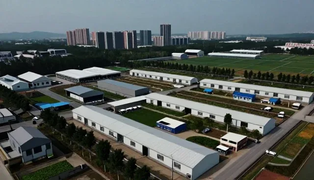 企业任务分配中的管理挑战与优化策略