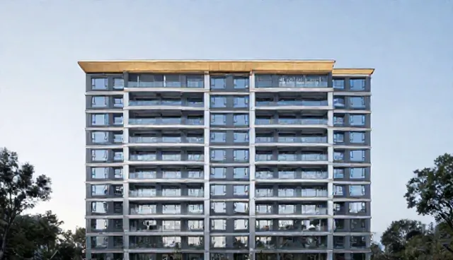 龙口seo选型与维护建议：短视频运营优化策略