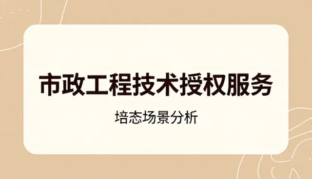 制造业能力建设中的常见问题与应对策略