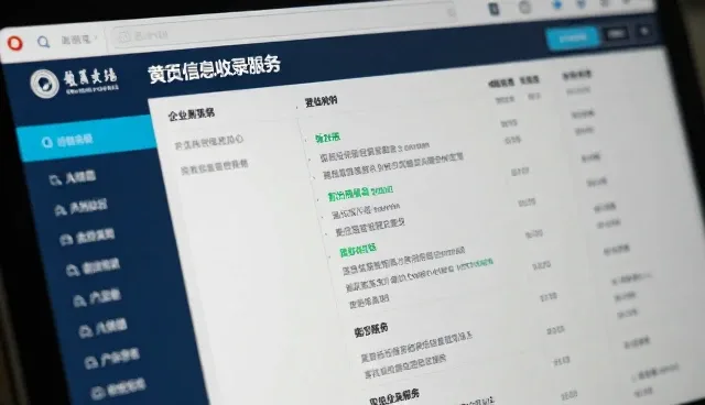 黄页数据错误如何避免，企业推广服务中的常见问题解析