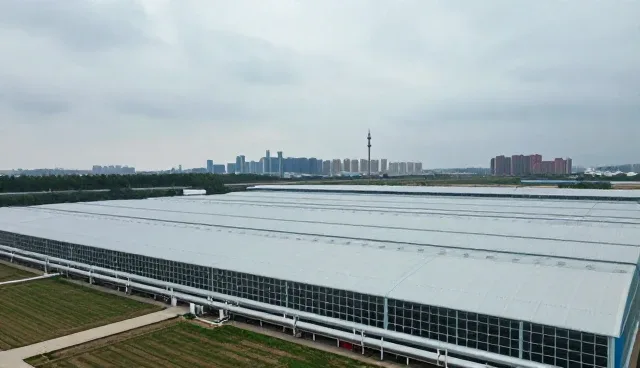 系统兼容性在工程改造中的关键作用与实际应用