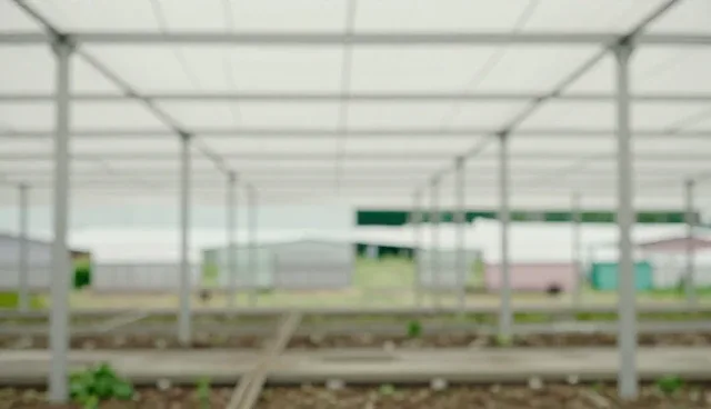智能系统在制造业中的实际应用困境