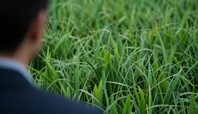 市场调研服务在不同场景下的性能表现与适用条件分析