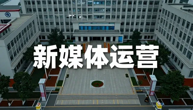 视觉呈现如何引导业务趋势的精准落位